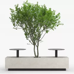 Foa Kucher 3D model