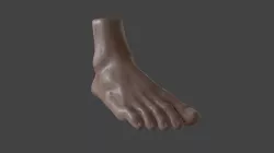 FOOT-001 Right Foot Low-poly 3D model
