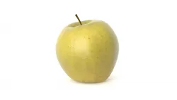 Golden Delicious Apple Fruit Photoscan Low-poly 3D model