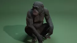 Gorilla Monkey 3D Model Ape 3D model