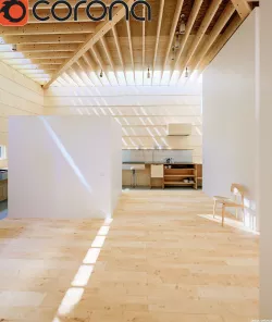 House of Light Corona Version 3D model