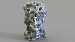 HUMAN HEAD  3D model