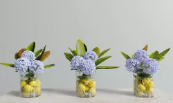 Hydrangeas Lemon Vase 3D model