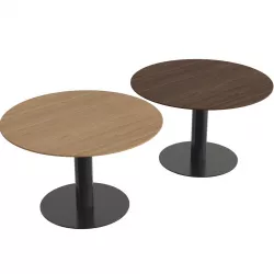 In Between SK12 Table 3D model