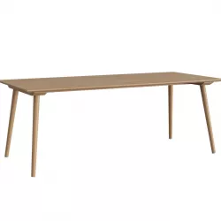 In Between SK5 Table 3D model