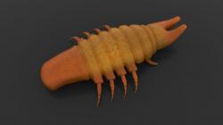 insect Cockroach 3D model