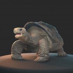 turtle boxes 3D Models | Page 1 | STLFinder