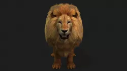 Lion Realistic Character with motion 3D model