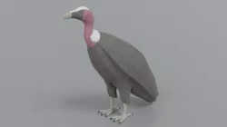 Low Poly Cartoon Vulture Low-poly 3D model