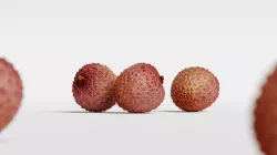 Lychee 002 3D model