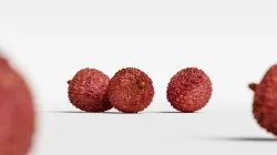 Lychee 003 3D model
