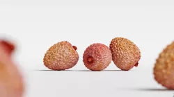 Lychee 004 3D model