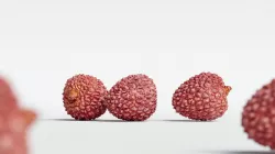 Lychee 005 3D model