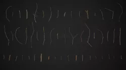 Oak And Tilia Twigs 4K Scanned Low-poly 3D model