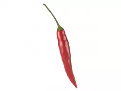 Photorealistic Chili 3D Scan 3D model 3D model