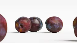 Plum 002 3D model
