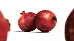 Pomegranate 001 3D model