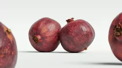 Pomegranate 002 3D model