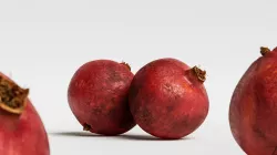 Pomegranate 003 3D model