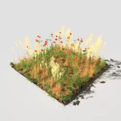 Poppy Meadow Patch and Free Gift 3D model