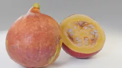 Pumpkin lowpoly Low-poly 3D model