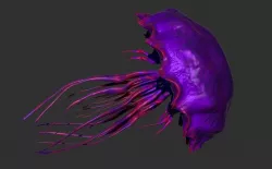   Purple jellyfish 3D model
