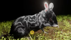 realistic animated and textured mouse 3D model