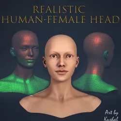 Realistic Human Female Head Low-poly 3D model