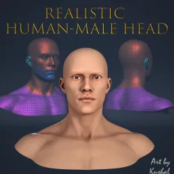 Realistic Human Male Head Low-poly 3D model