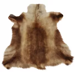 Reindeer Hide 3D model