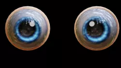 Rigged eyes Texture