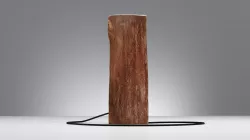 Scanned Lamp Wooden Log with Bulb  3D model