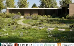Shrub collection - Include GrowFX and Mesh file  3D model