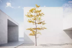 Small Autumn tree vpt026 3D model