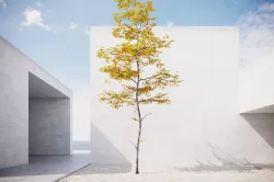 Small Autumn tree vpt027 3D model