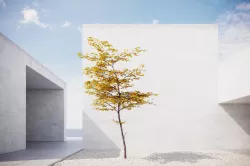 Small Autumn tree vpt029 3D model