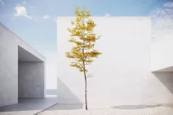 Small Autumn tree vpt030 3D model