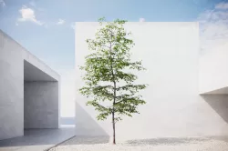 Small spring tree vpt021 3D model