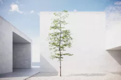 Small spring tree vpt022 3D model