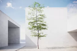 Small spring tree vpt024 3D model