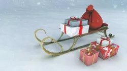 Snow Sled 3D model