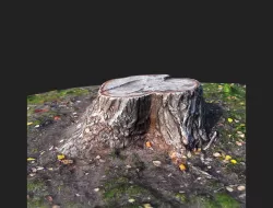 Stamp 3D model