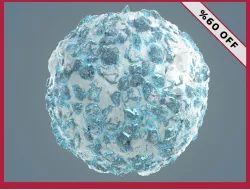 Stylized Snow Ice Seamless PBR Texture Pack Texture  Texture