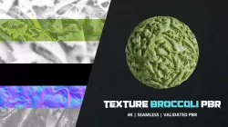 Textures Food Broccoli 4k Pbr - 16bit - 011 Texture