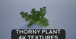 4K Thorny Cactus like Plant Lopwoly Low-poly 3D model