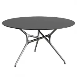 Branch Table 3D model
