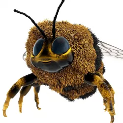 Bumblebee cartoon rigged animated Low-poly 3D model