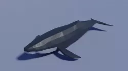 Cartoon Humpback Whale  Low-poly 3D model