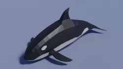 Cartoon Killer Whale  Low-poly 3D model