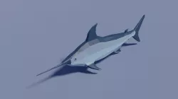Cartoon Swordfish Low-poly 3D model